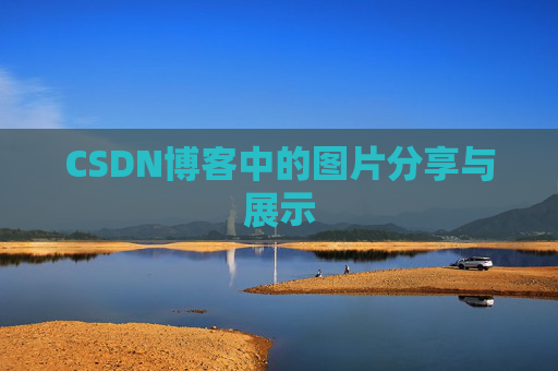 CSDN博客中的图片分享与展示